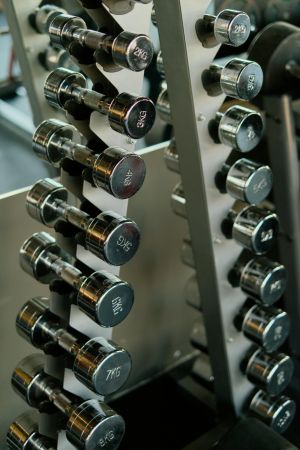 The Lodges of Huntersville A row of various dumbbells neatly arranged on a rack in a gym setting.